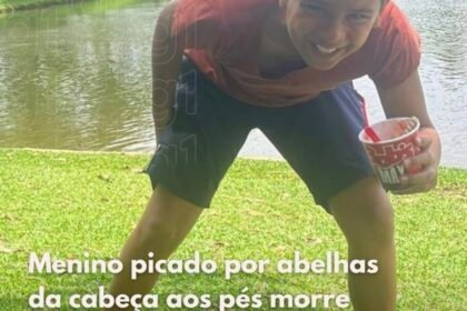 Menino picado por abelhas da cabeça aos pés morre em hospital !