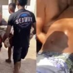 Morre adolescente atacado por tubarão na Praia de Del Chifre, em Olinda Morre adolescente atacado por tubarão na Praia de Del Chifre, em Olinda