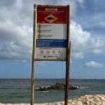 Governo de Pernambuco vai retomar monitoramento de incidentes de tubarão após 11 anos Governo de Pernambuco vai retomar monitoramento de incidentes de tubarão após 11 anos