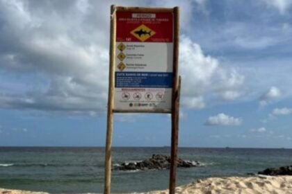 Governo de Pernambuco vai retomar monitoramento de incidentes de tubarão após 11 anos Governo de Pernambuco vai retomar monitoramento de incidentes de tubarão após 11 anos