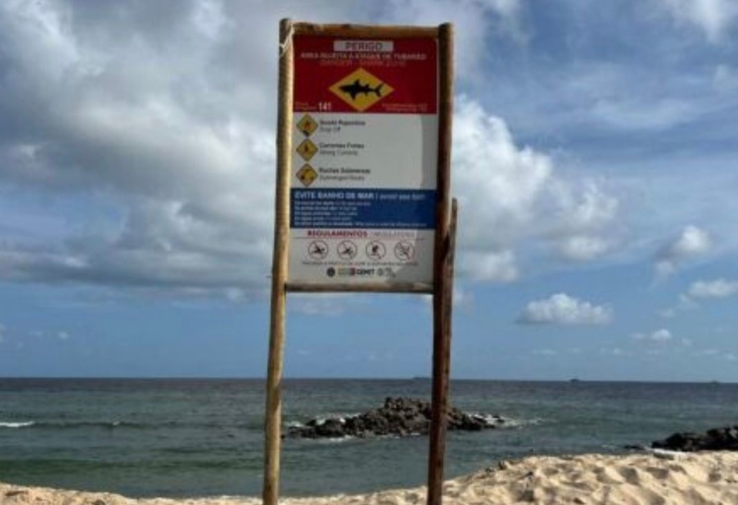 Governo de Pernambuco vai retomar monitoramento de incidentes de tubarão após 11 anos Governo de Pernambuco vai retomar monitoramento de incidentes de tubarão após 11 anos